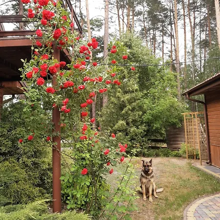 Noclegi, Goscinne, Wyzywienie, Catering, Agro Ela Maison d'hôtes