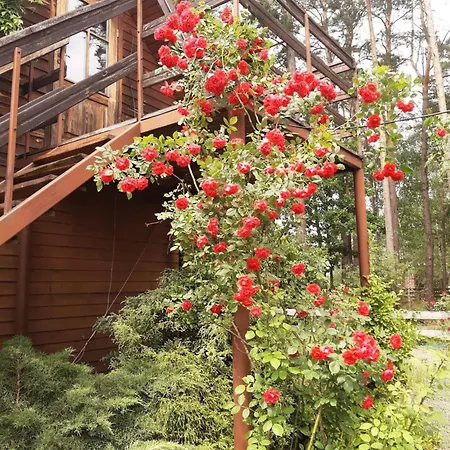 Noclegi, Goscinne, Wyzywienie, Catering, Agro Ela Guest house