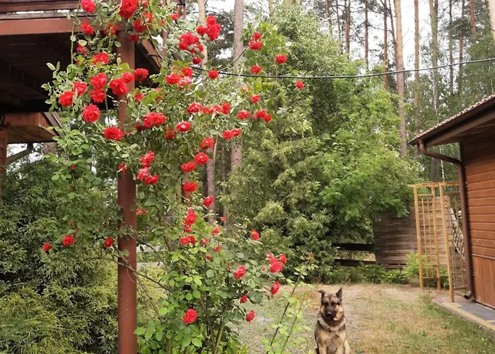 Noclegi, Goscinne, Wyzywienie, Catering, Agro Ela Guest house